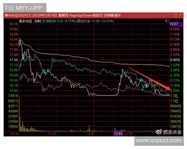 赛后复盘：重庆足球队 vs 西安足球队的速度